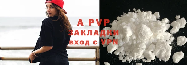 индика Тутаев