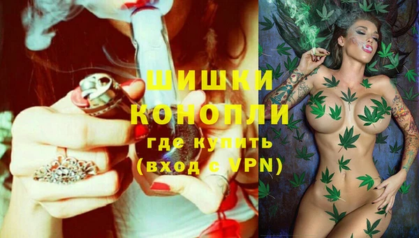 spice Тихвин