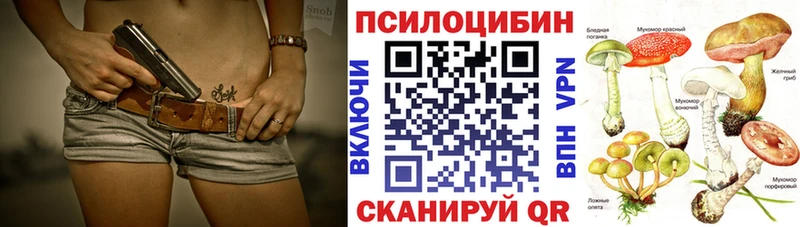 Галлюциногенные грибы Psilocybe Купить закладки Невьянск